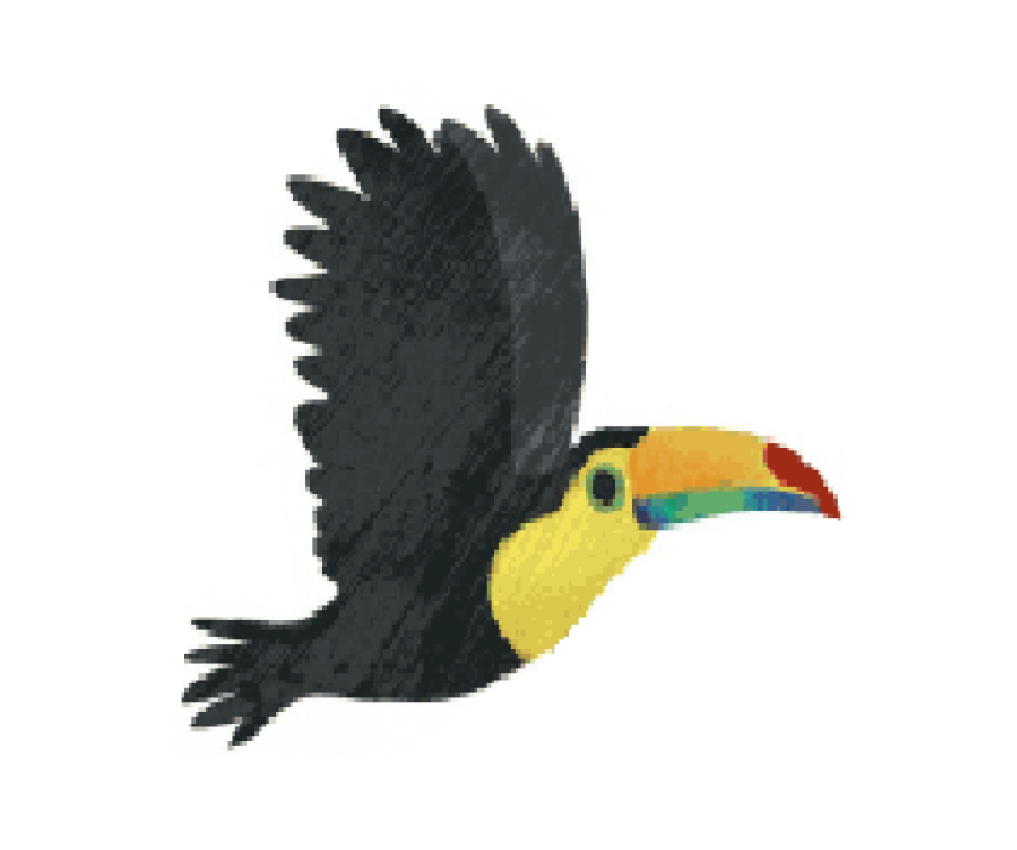 toucan villa nova